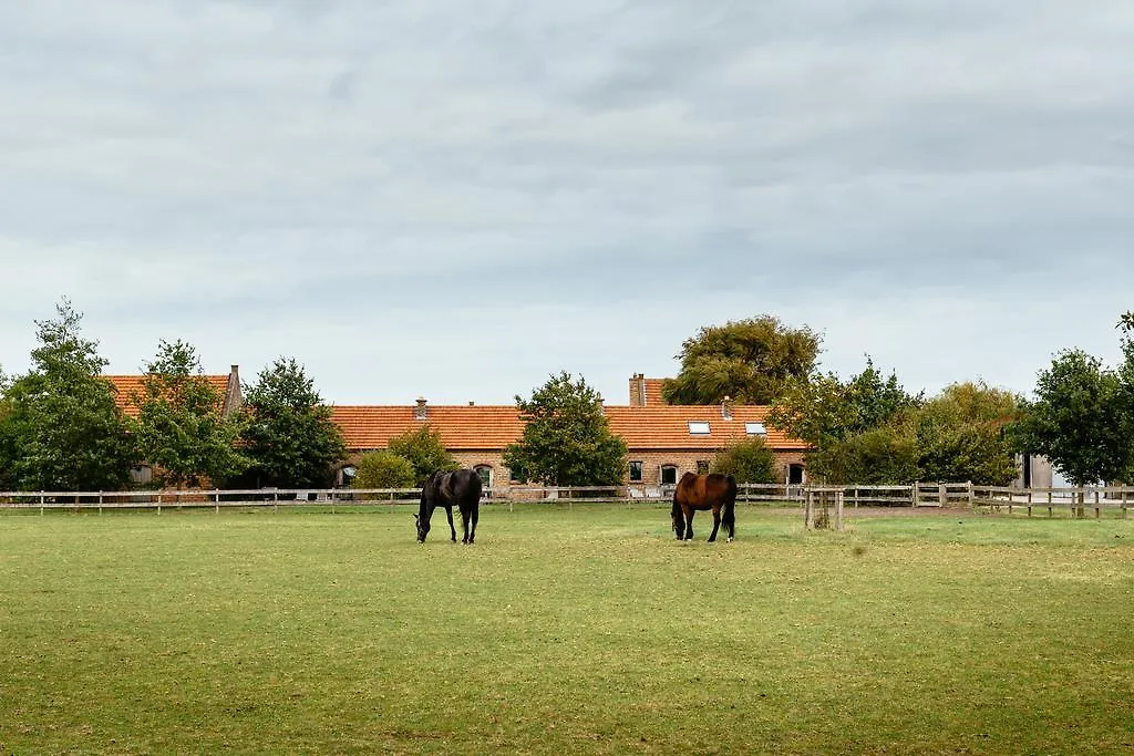 Het Zwaluwnest Villa Middelkerke