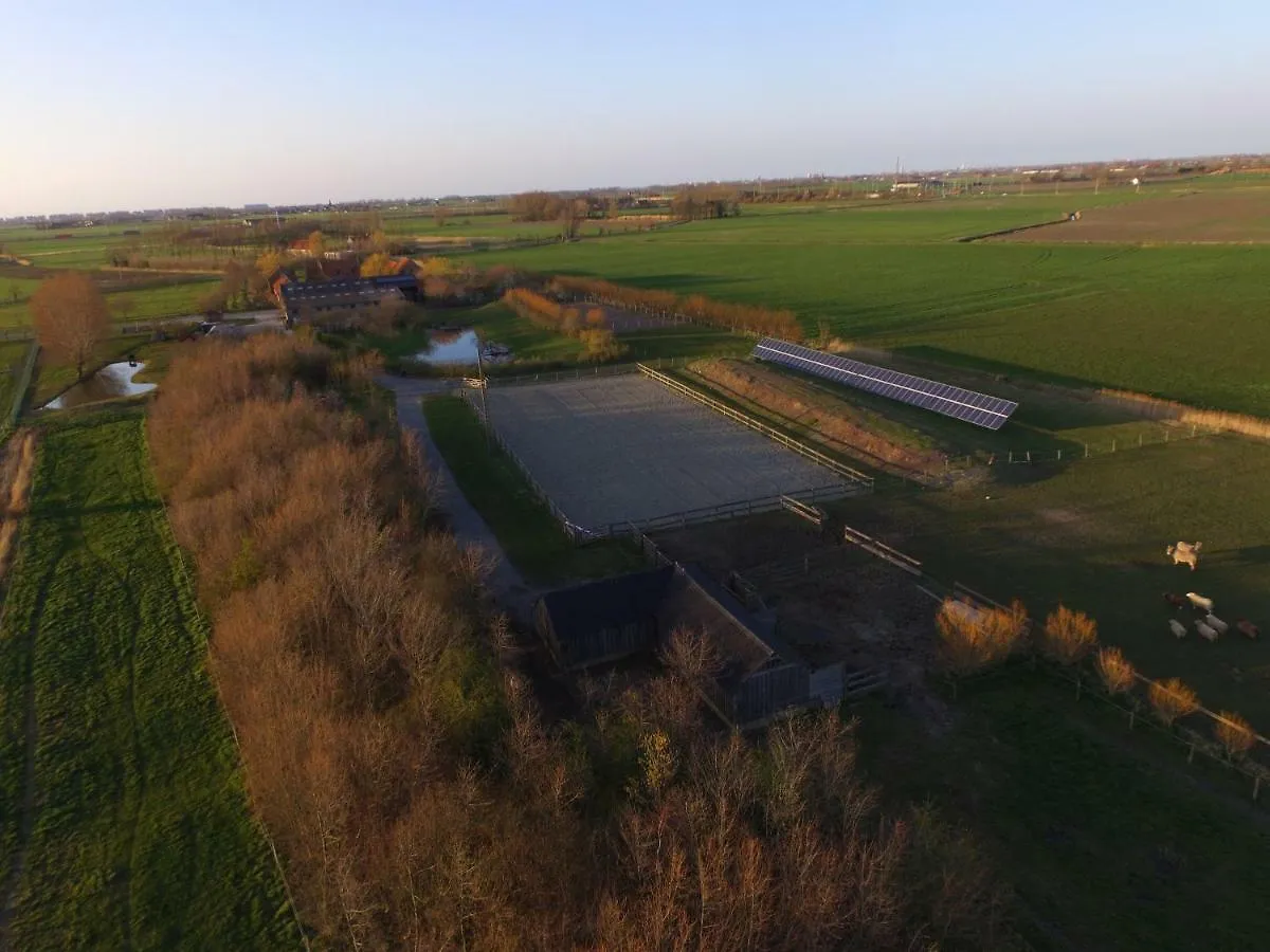 Het Zwaluwnest Villa Middelkerke Belgium