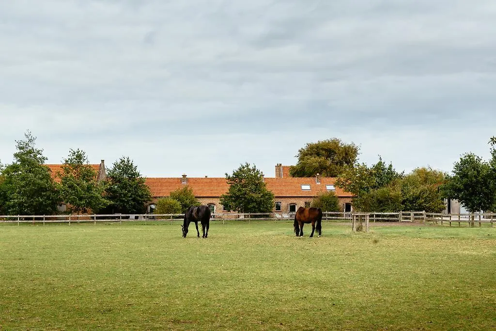 Het Zwaluwnest Villa Middelkerke